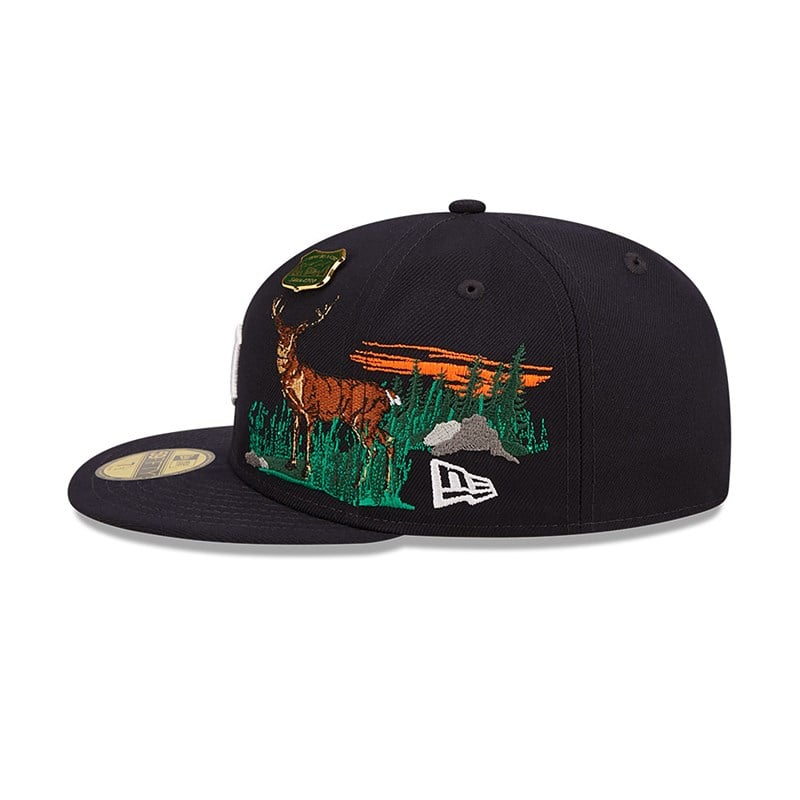 Blue New Era Detroit Tigers State Park Fitted Cap 59fifty | IOFD94520