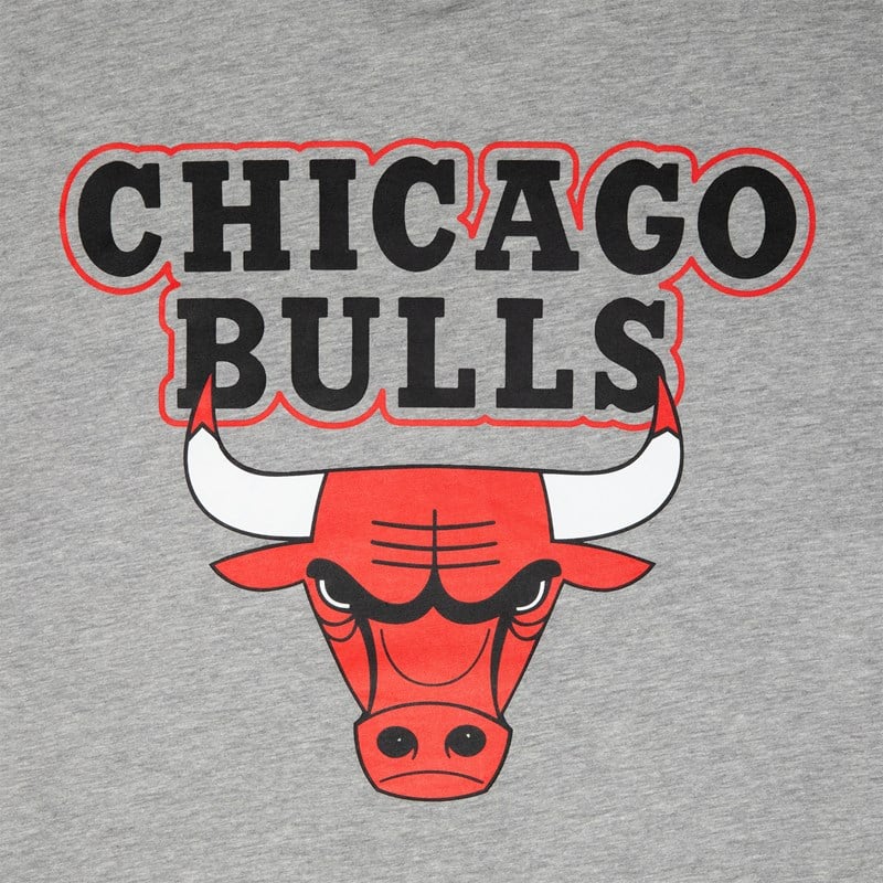 Grey New Era Chicago Bulls NBA Paris Games T-Shirt | KAXN41589