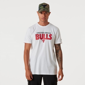 White New Era Chicago Bulls NBA Wordmark T-Shirt | GVPZ63089